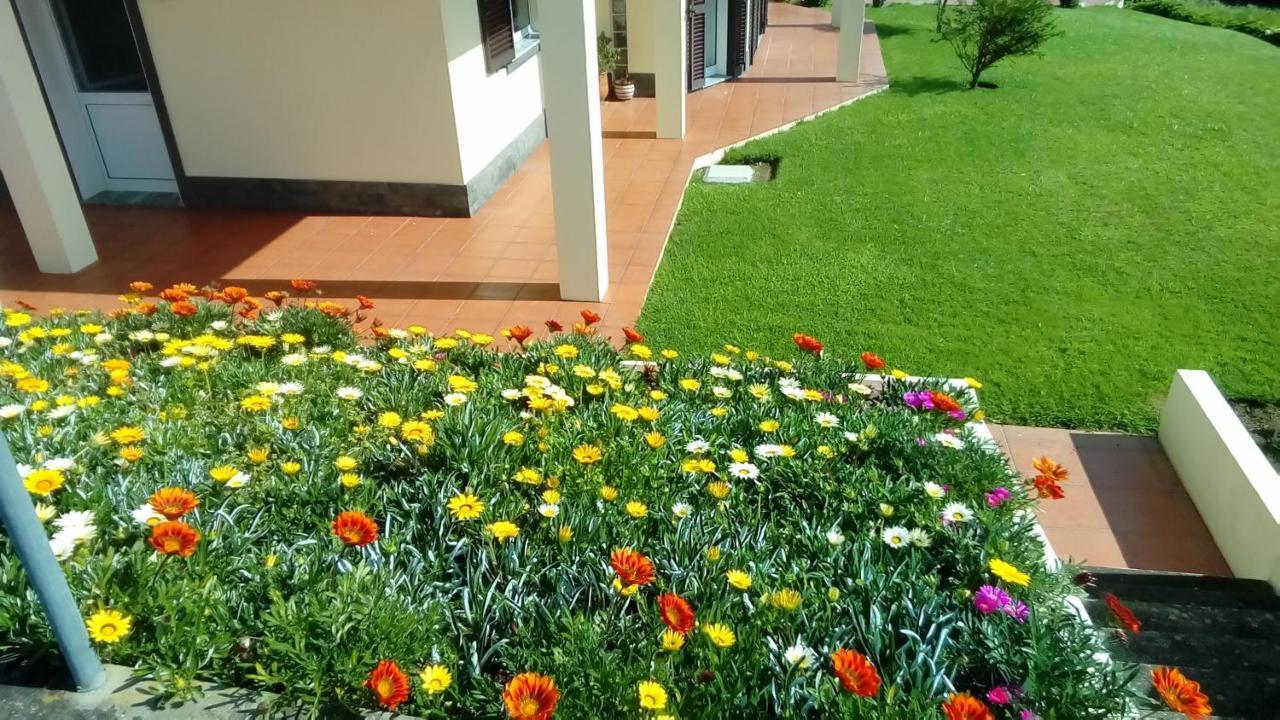 Hotel Alice'S House Horta  Exterior foto